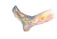 69-pieds_aquarelle_th.jpg