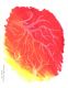 071113-pastel-gratte-branches_th.jpg